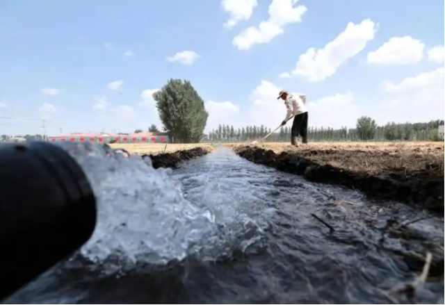 采取活跃措施经过调度水源抗旱喷防等方式竭尽全力保夏收