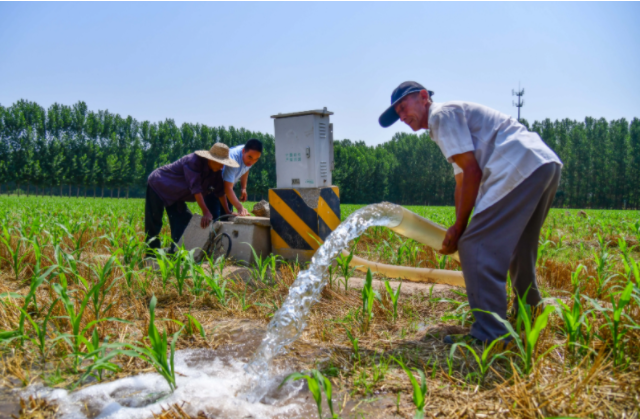 采取活跃措施经过调度水源抗旱喷防等方式竭尽全力保夏收 采取活跃措施经过调度水源抗旱喷防等方式竭尽全力保夏收