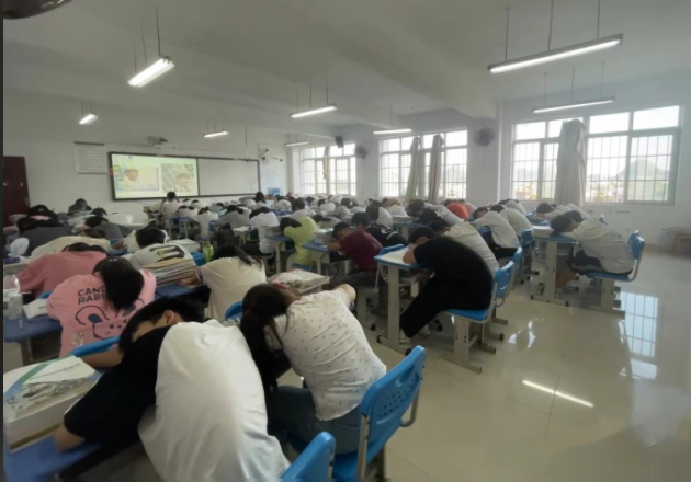 实际操作在内的多样化职业启蒙课程满足不同学生的兴趣需求 实际操作在内的多样化职业启蒙课程满足不同学生的兴趣需求